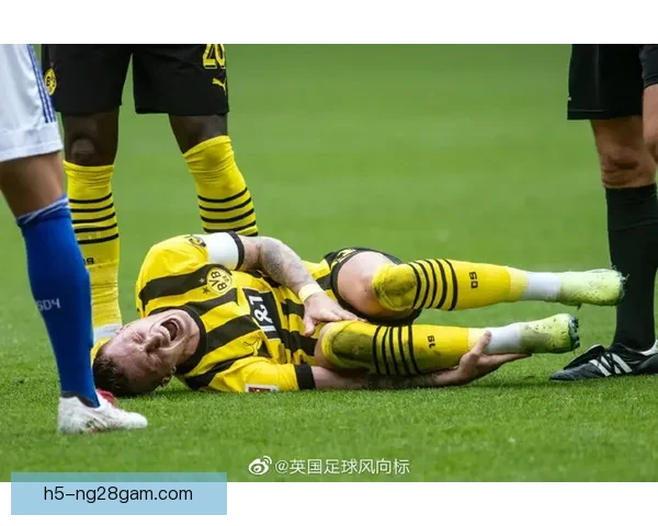 澳国脚刘易斯米勒无缘世界杯